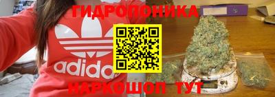 jwh Новодвинск