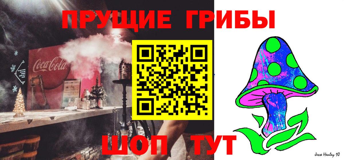 Галлюциногенные грибы мицелий Сургут
